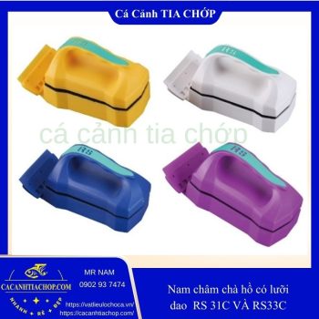 NAM CHÂM CỌ BỂ KÈM LƯỠI CẠO RÊU RS 31C / RS 33C