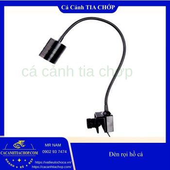 ĐÈN RỌI BỂ CÁ – BỂ THỦY SINH GIÁ RẺ | CÁ CẢNH TIA CHỚP- ĐÈN RỌI 3W-5W-7W- PHỤ KIỆN HỒ CÁ QUẬN 2