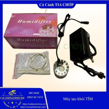 MÁY TẠO KHÓI TÍM – ĐÈN LED ĐỔI MÀU SIÊU ĐẸP