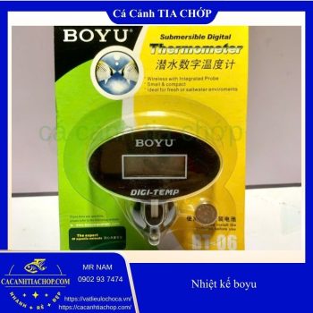 NHIỆT KẾ ĐIỆN TỬ BOYU BT-06 – THEO DÕI NHIỆT ĐỘ CHUẨN XÁC TỪNG ĐỘ