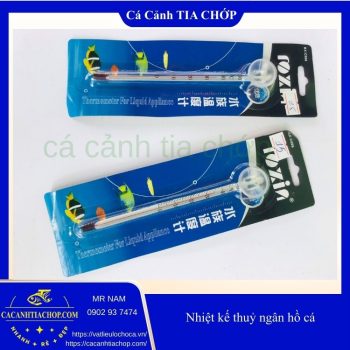 NHIỆT KẾ THỦY NGÂN HỒ CÁ – NHỎ GỌN • CHÍNH XÁC • GIÁ RẺ