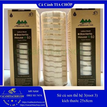 SỨ CỦ SEN THẾ HỆ 3 – LOTUS ROOT BACTERIA HOUSE III (Mountain Tree)- SỨ ROOT3 KÍCH THƯỚC 25X8CM