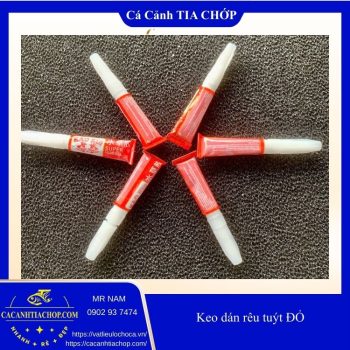 Keo dán rêu lên lũa – đá (tuýp 5g)