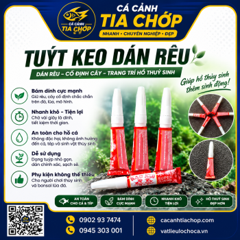Keo dán rêu lên lũa – đá (tuýp 5g)