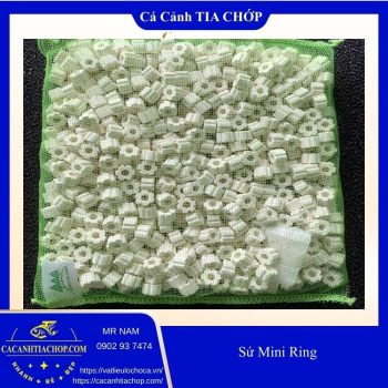 SỨ MINI RING MOUNTAIN TREE – GÓI 580G