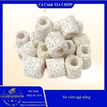SỨ VIÊN NGÀTRẮNG 1KG- SỨ VIÊN LỌC NƯỚC HỒ CÁ CẢNH- VẬT LIỆU LỌC QUẬN 2 HỒ CHÍ MINH