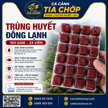TRÙNG HUYẾT ĐÔNG LẠNH – VỈ 24 VIÊN (100G- THỨC ĂN CHO CÁ CẢNH TRÙNG HUYẾT ĐÔNG LẠNH