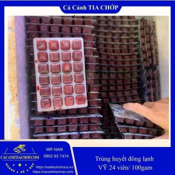 TRÙNG HUYẾT ĐÔNG LẠNH – VỈ 24 VIÊN (100G- THỨC ĂN CHO CÁ CẢNH TRÙNG HUYẾT ĐÔNG LẠNH