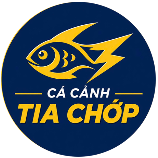 Cá cảnh tia chớp-Vật liệu lọc hồ cá- Phụ kiện hồ thủy sinh-phụ kiện hồ cá