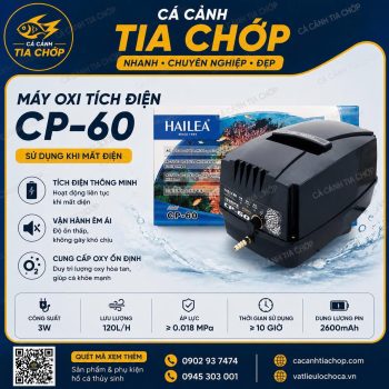 MÁY SỦI OXY TÍCH ĐIỆN HAILEA CP-60 – 80W