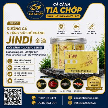 Thuốc Cho Cá Cảnh Gói Vàng JINDI – Trị Nấm, Sát Khuẩn & Dưỡng Cá Hiệu Quả