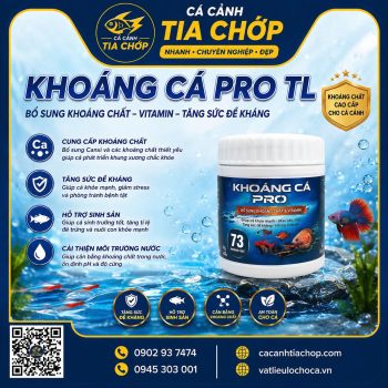 💧 MỖI LẦN THAY NƯỚC, BẠN CÒN PHẢI CHÂM 3 LOẠI?- KHOÁNG CÁ PRO 200GAM