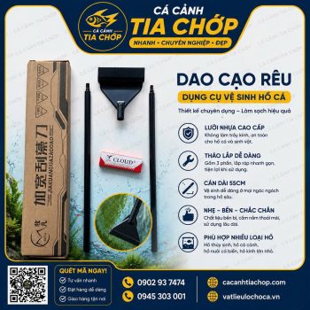 Dao Cạo Rêu Hồ Cá Cảnh – Làm Sạch Kính Nhanh, Hồ Luôn Trong Suốt