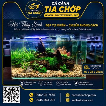 HỒ THỦY SINH ĐỂ BÀN 40 × 23 × 25CM-HD 402325-2