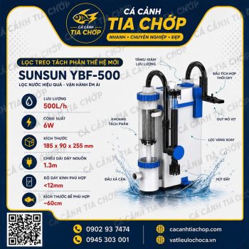 LỌC TÁCH PHÂN YBF-500 SUNSUN – GIẢI PHÁP LỌC GỌN, HỖ TRỢ GIỮ HỒ CÁ SẠCH HƠN