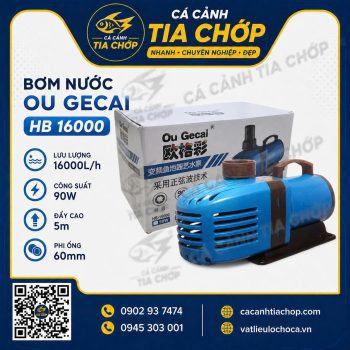 MÁY BƠM CHÌM GECAI HB 16000 – NHỎ GỌN NHƯNG ĐẦY SỨC MẠNH