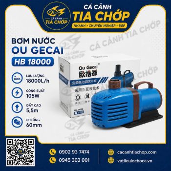 MÁY BƠM NƯỚC GECAI HB 18000 – GIẢI PHÁP TUẦN HOÀN NƯỚC MẠNH MẼ CHO HỒ CÁ VÀ HỒ KOI
