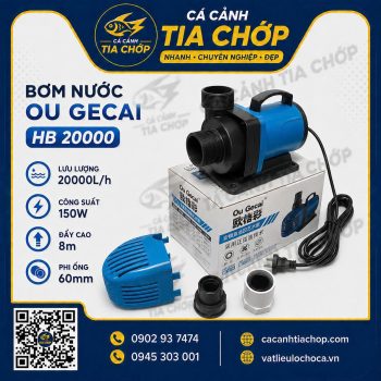 BƠM CHÌM GECAI HB 20000 – HIỆU SUẤT MẠNH MẼ CHO HỒ CÁ VÀ HỒ KOI