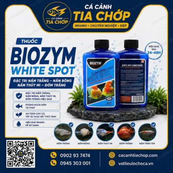 BIOZYM WHITE – Đặc Trị Nấm Đốm Trắng Cho Cá Cảnh