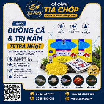 Thuốc Dưỡng Cá Tetra Nhật – Giải Pháp Hỗ Trợ Cá Khỏe Mạnh, Phòng Ngừa Nấm Khuẩn