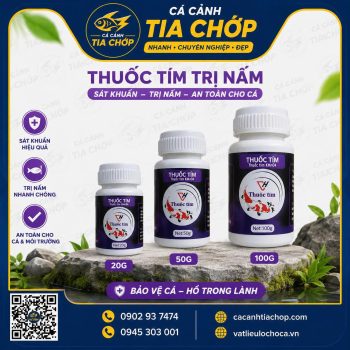 💜 Thuốc Tím Sát Khuẩn Cá Cảnh – Bảo Vệ Cá Khỏe, Hồ Luôn Sạch  Thuốc tím (Potassium Perm