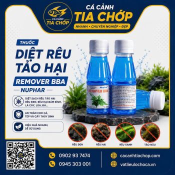 Diệt Rêu Hại Remover BBA Nuphar – Giải Pháp Loại Bỏ Rêu Đen Hiệu Quả Cho Hồ Thủy Sinh