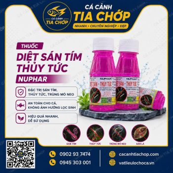 Diệt Sán – Thủy Tức NUPAR (Chai Màu Tím) Diệt sạch sán, thủy tức – Bảo vệ cá và tép hiệu quả