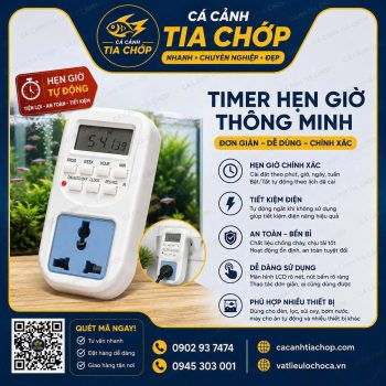 Timer Hẹn Giờ Cho Cá Cảnh – Giải Pháp Tự Động Hóa Chăm Sóc Hồ Cá