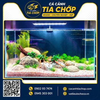 Hồ thủy sinh siêu trong kích thước 60x30x35cm-hst 603035-2